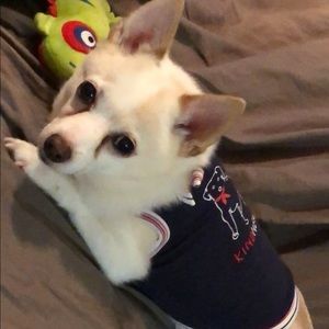 Meet your Posher, Tonya